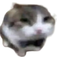 tjoy